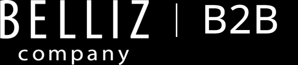 logo belliz company b2b